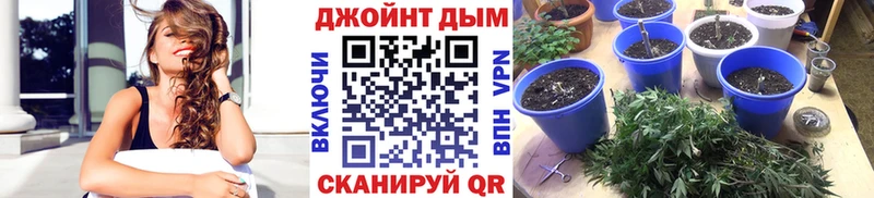 Бошки Шишки VHQ  продажа наркотиков  Протвино 